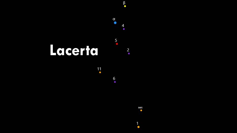 Constellation Lacerta